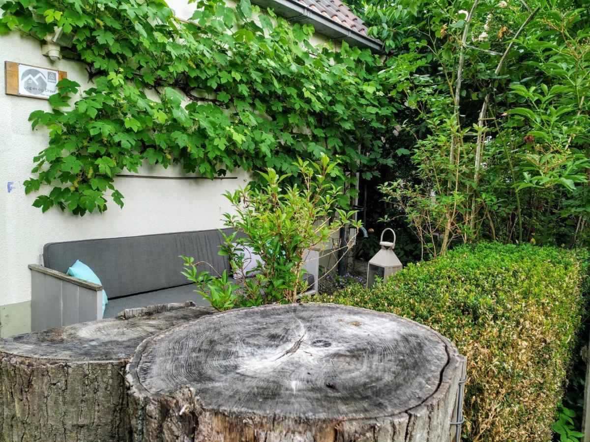 Bed and Breakfast Logies Op Dreef Driebergen Exteriér fotografie